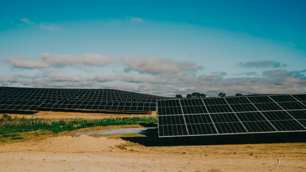 a solar panel field with neatly arranged solar panels reflecting sunlight.